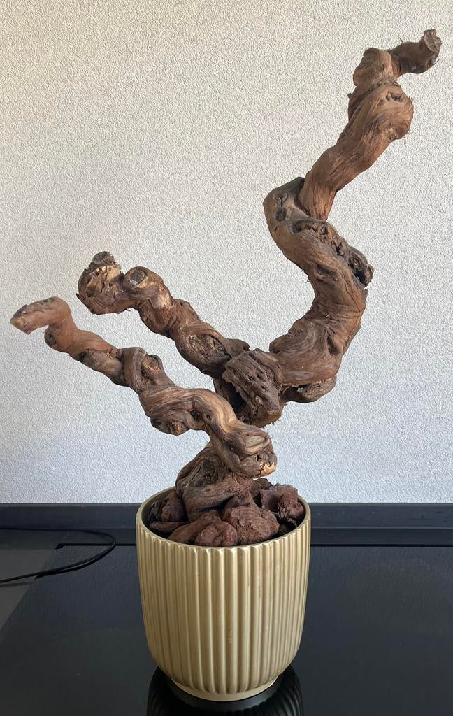 Mooie druivenstronk  houtstronk, Ophalen, Gebruikt