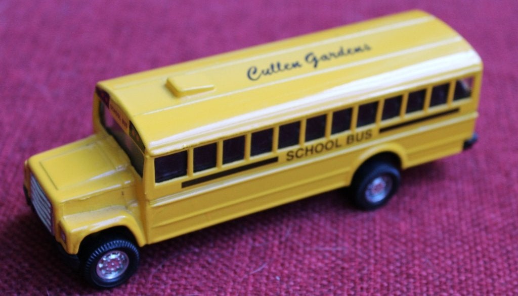 Schoolbus, Ophalen of Verzenden, Gebruikt, Bus of Vrachtwagen, Overige merken