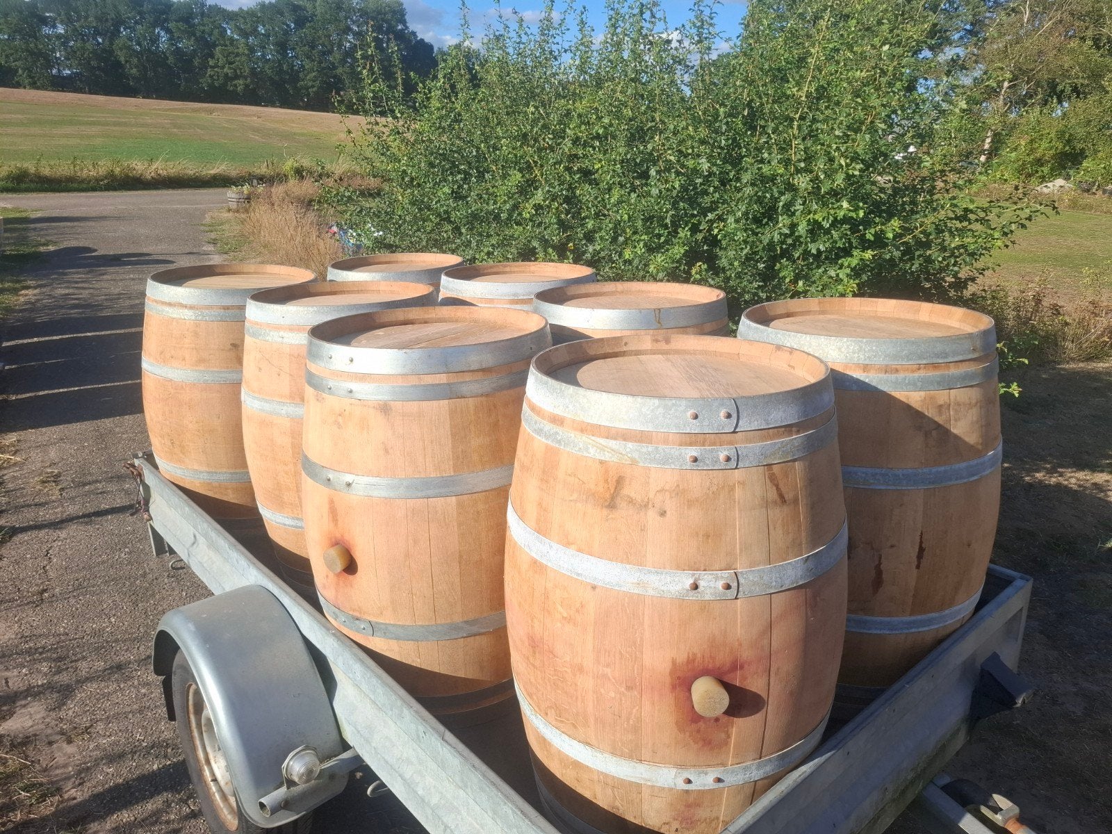 Wijn- en whiskeyvaten als regentonnen, Tuin en Terras, Regentonnen, 150 liter of meer, Ophalen, Gebruikt, Hout