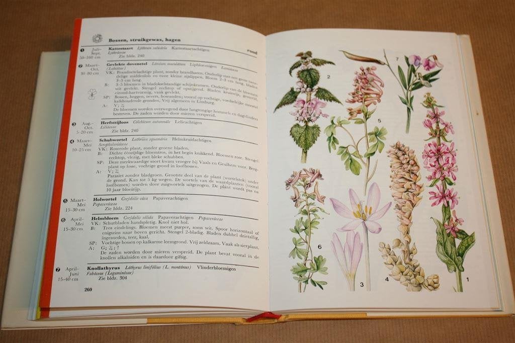 Wat bloeit daar? Wilde bloemplanten Ned, Midden-Europa, Boeken, Natuur, Ophalen of Verzenden, Gelezen