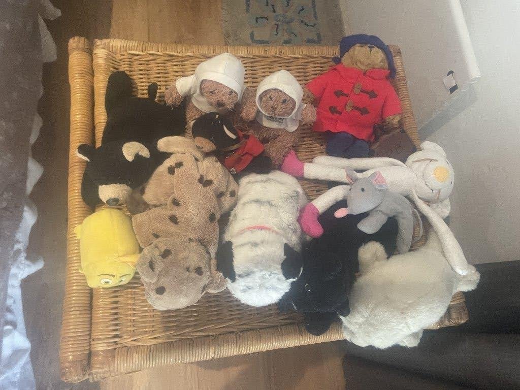 Grote Partij Knuffels 12st/o.a. Paddington & Ty Beanie, Kinderen en Baby's, Ophalen, Gebruikt, Overige typen