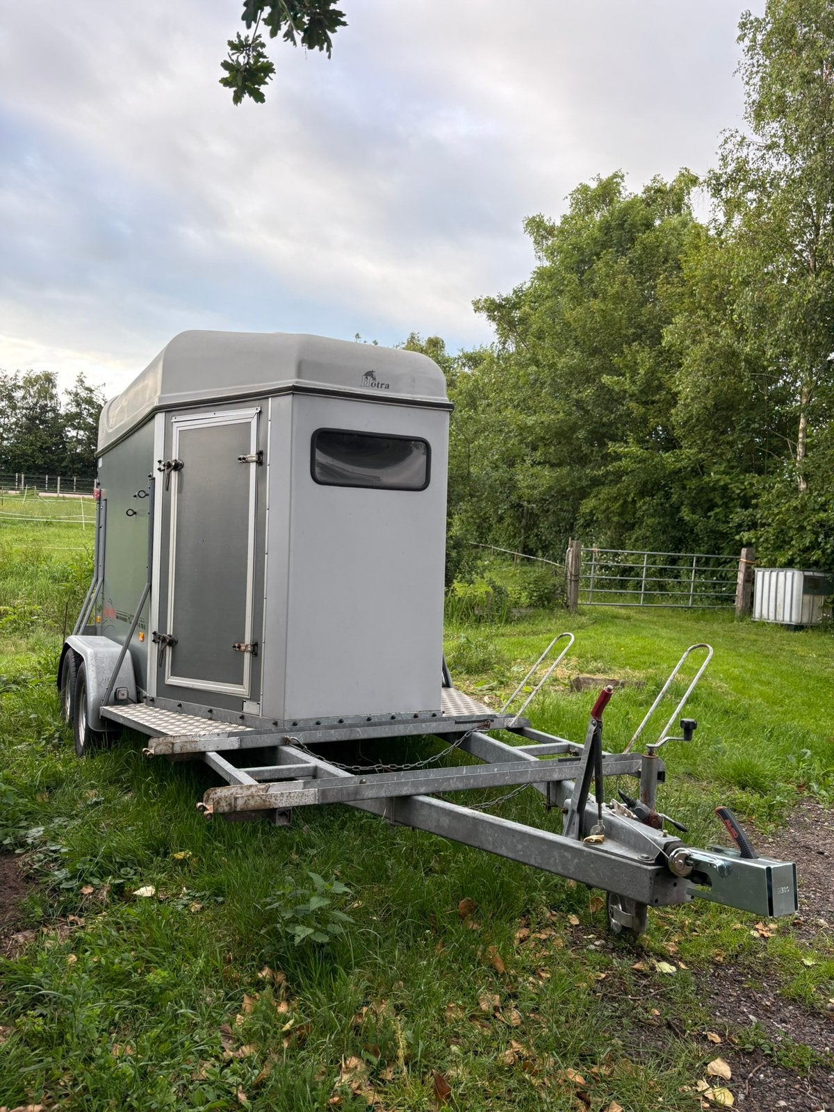 Ponytrailer met koetsframe, Dieren en Toebehoren, Ophalen, Zo goed als nieuw, Hout