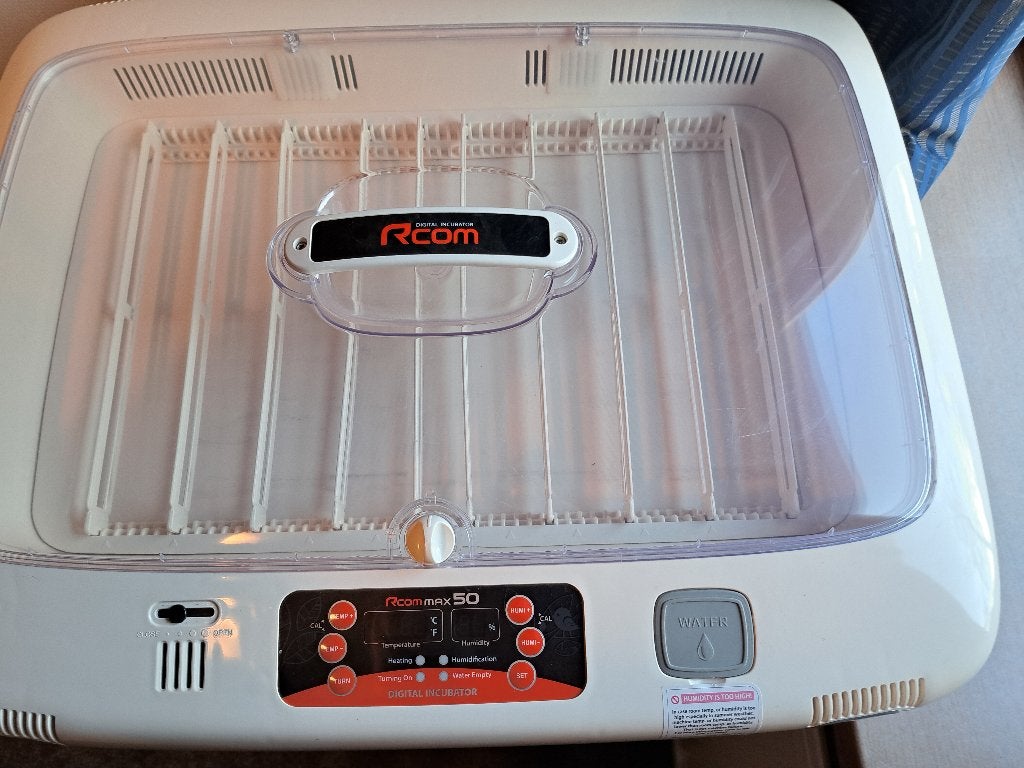 Professionele Broedmachine Rcom max 50, Ophalen, Zo goed als nieuw, Overige typen