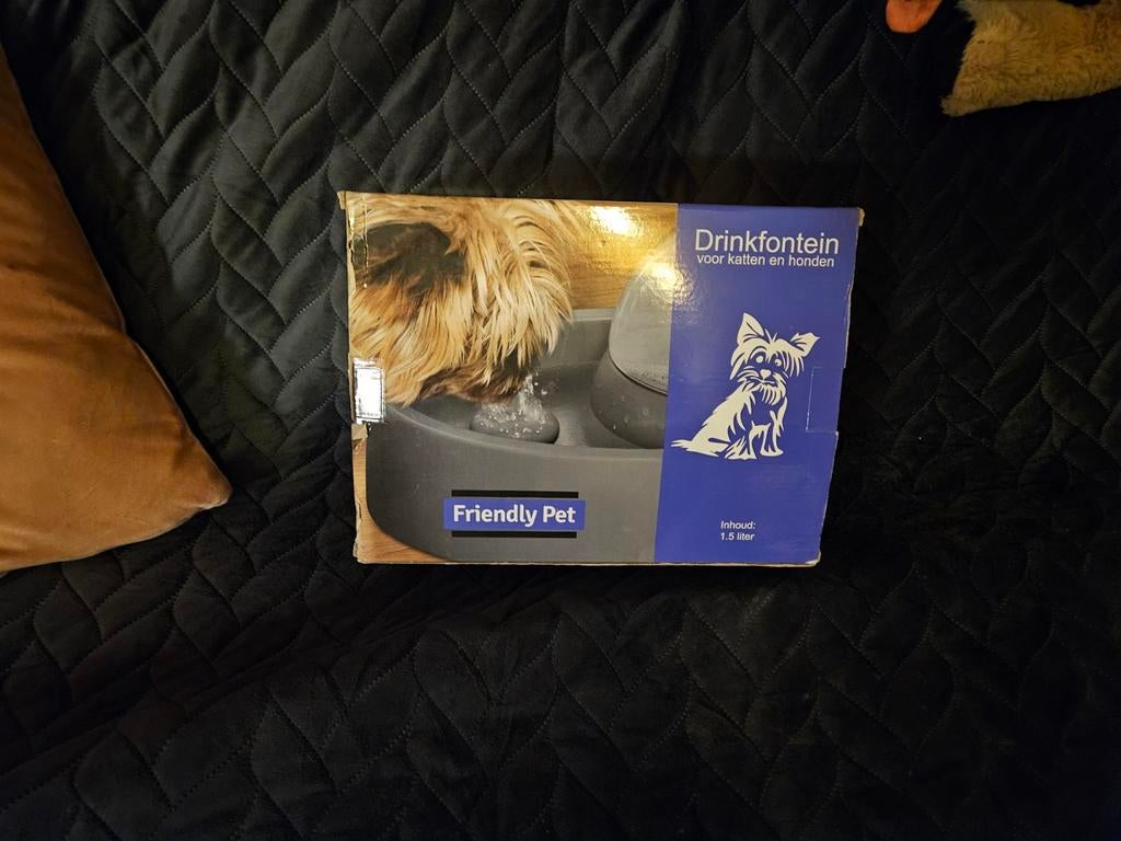 Hond, Ophalen of Verzenden