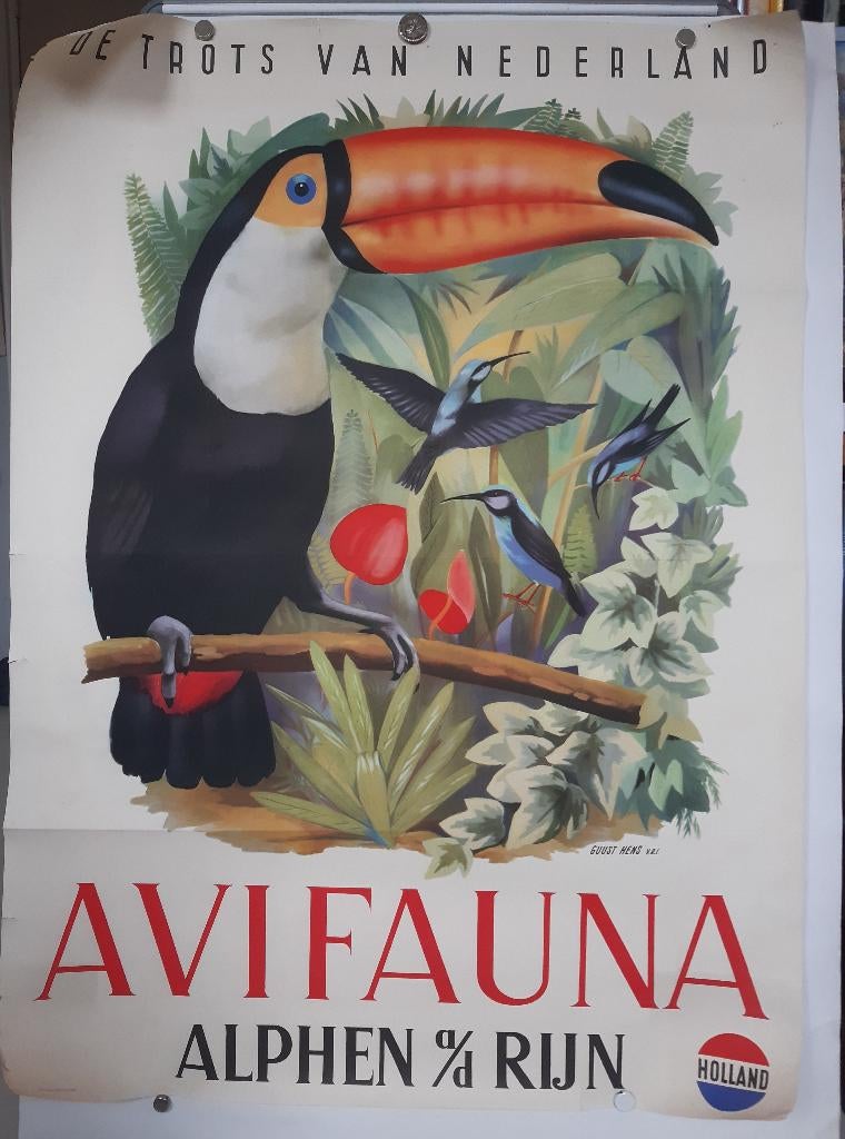 Originele poster Avifauna Alphen aan de Rijn, Verzenden, A1 t/m A3, Film en Tv, Rechthoekig Staand