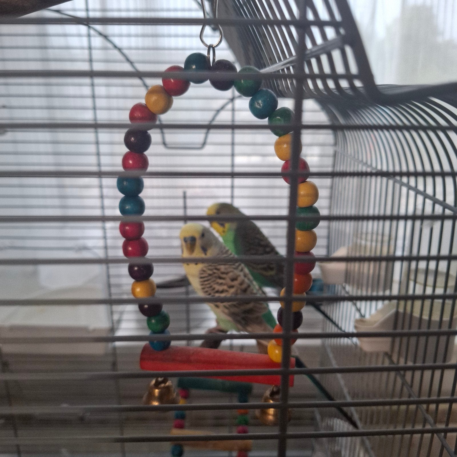 Mooie complete set: Grote vogelkooi + 2 grasparkieten, Dieren en Toebehoren, Ophalen, Zo goed als nieuw, Metaal, Vogelkooi