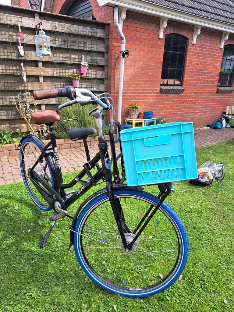 Gazelle Miss Grace Damesfiets – Stijlvol & Compleet!, Fietsen en Brommers, Ophalen, Velgrem, Versnellingen, Zo goed als nieuw