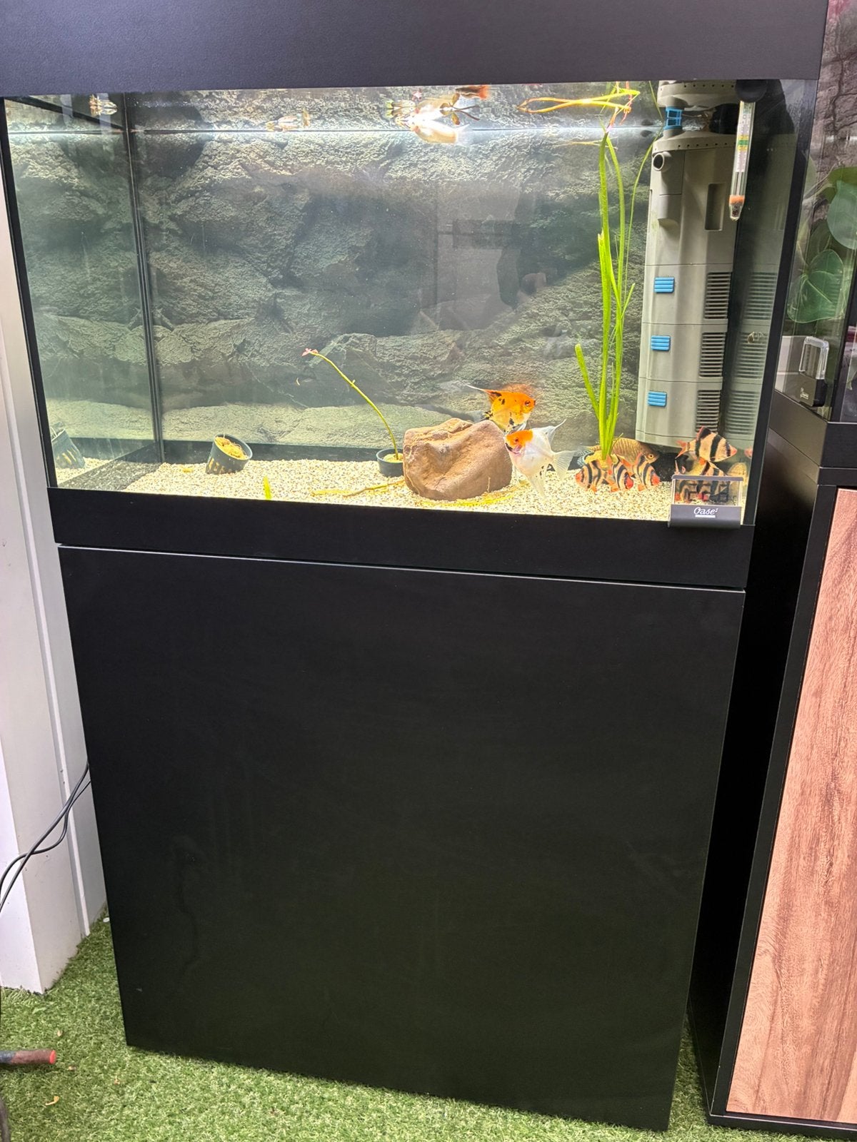 Mooie aquarium van Robert Knops, Ophalen, Zo goed als nieuw, Leeg aquarium