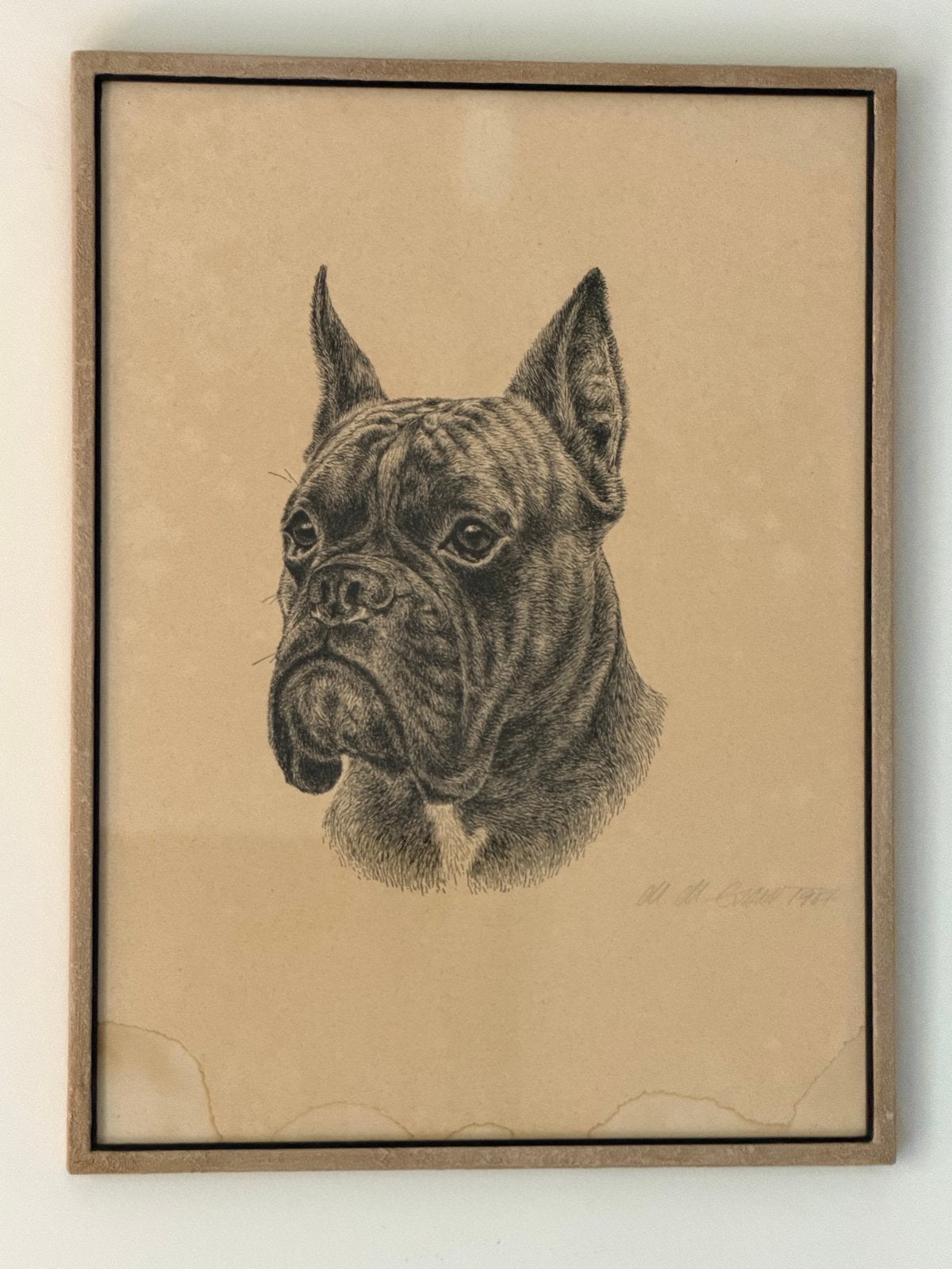 Prent Boxer, gesigneerd (M.M.Evan?), gedateerd 1967, Antiek en Kunst, Ophalen of Verzenden, Print, Prent, Gesigneerd