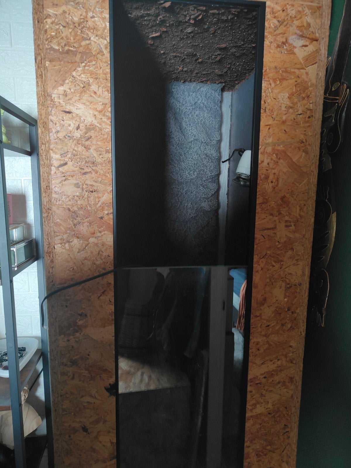 osb terrarium, Dieren en Toebehoren, Ophalen, Gebruikt, Terrarium of Paludarium