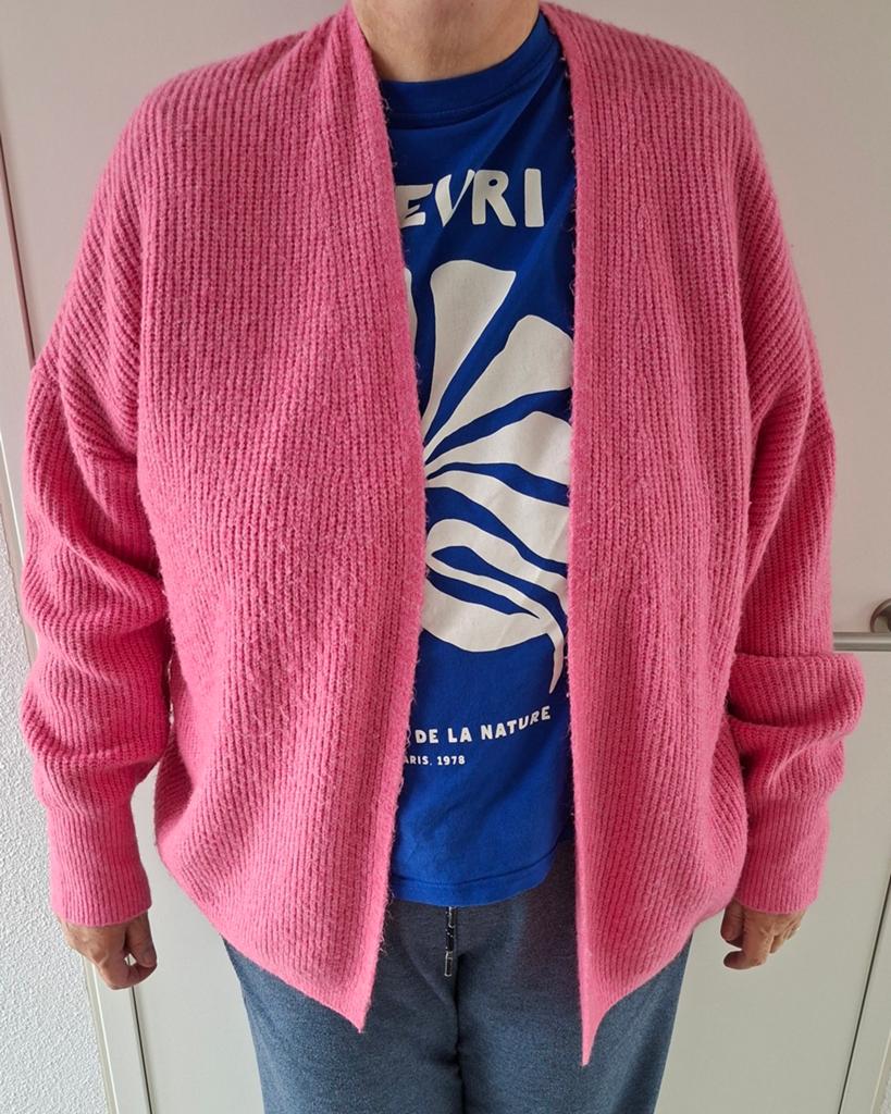 Rose vest maat xl, Kleding | Dames, Truien en Vesten, Ophalen of Verzenden, Gedragen, Maat 46/48 (XL) of groter, Roze