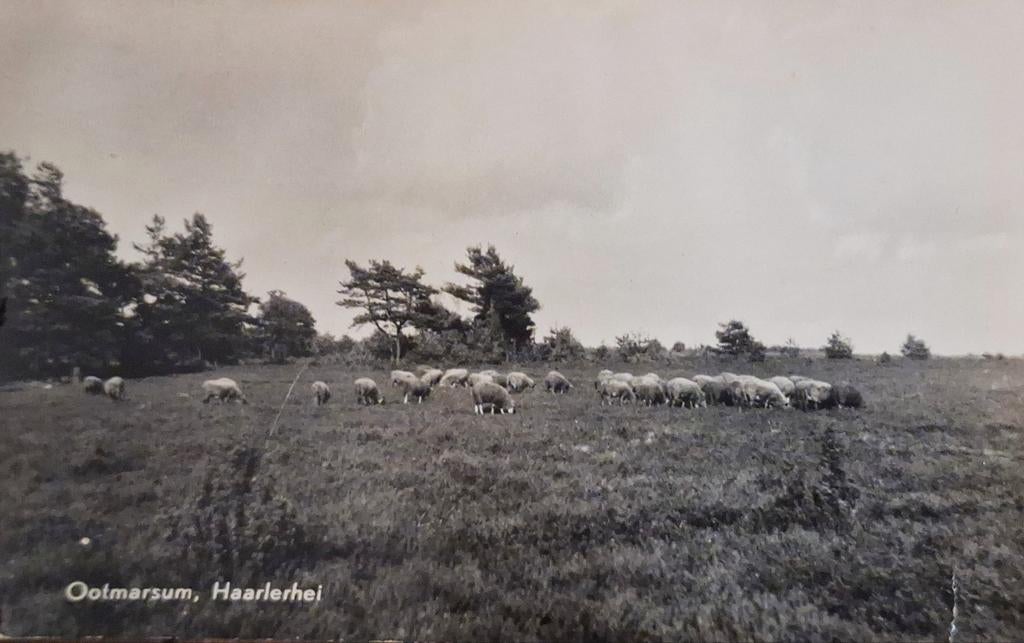 Fotokaart Ootmarsum - Haarlerhei - 1960, Ophalen of Verzenden, 1940 tot 1960, Gelopen, Overijssel