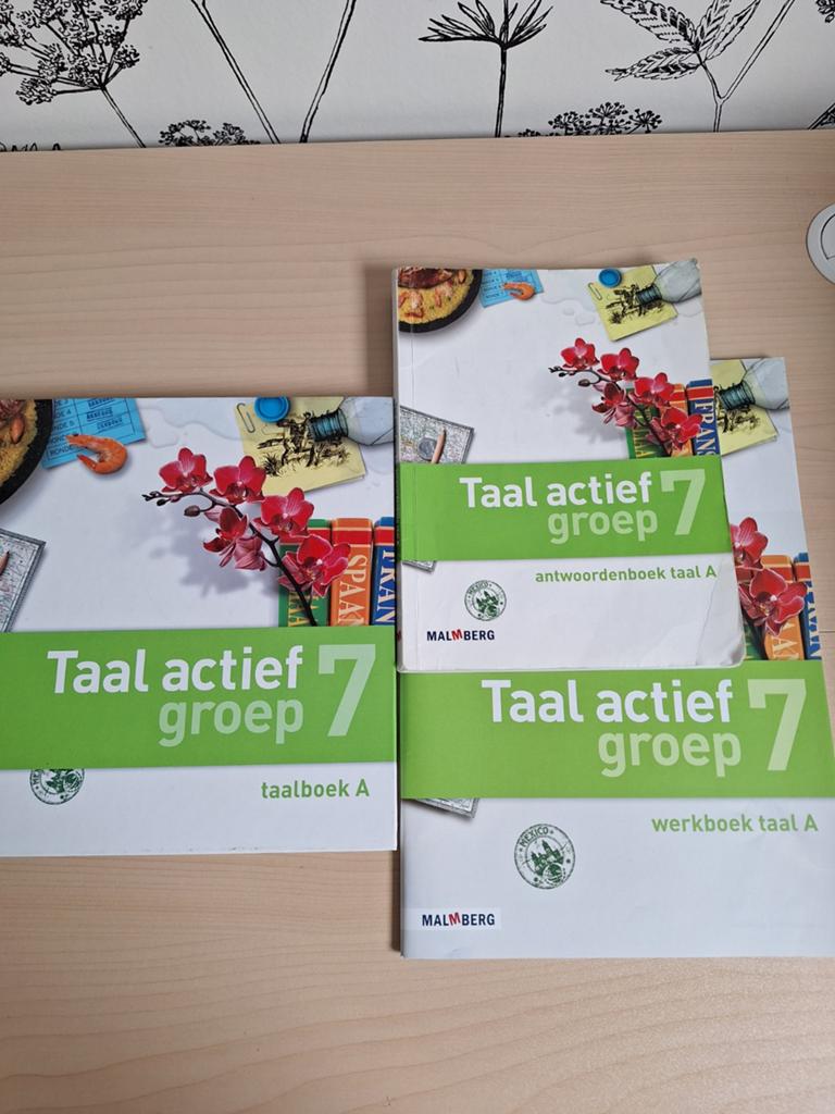 Taal Actief groep 7, Ophalen of Verzenden, Nieuw, Overige niveaus, Nederlands