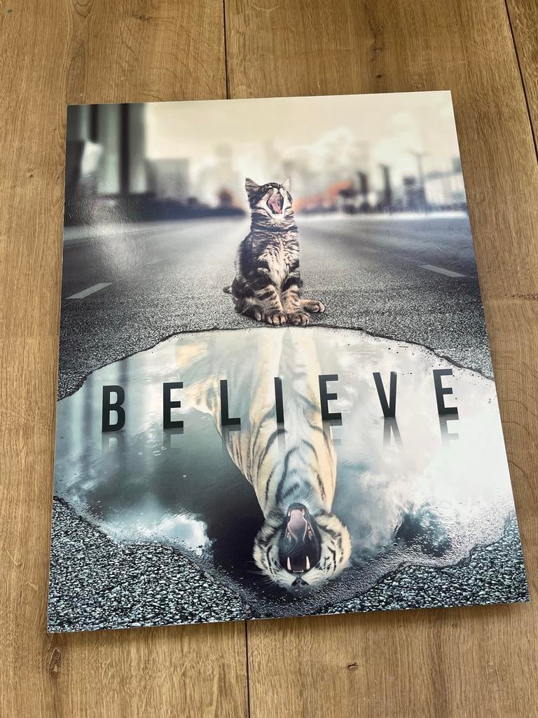Schilderij kat met tijger reflectie - 'Believe' - 50x40cm, Antiek en Kunst, Ophalen of Verzenden