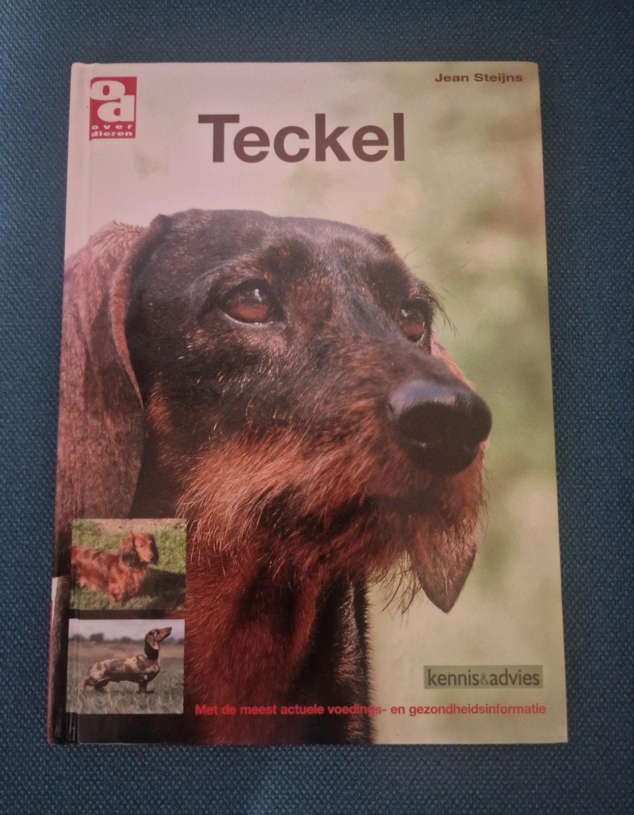 J. Steijns - Teckel, Honden, Ophalen of Verzenden, Zo goed als nieuw, J. Steijns