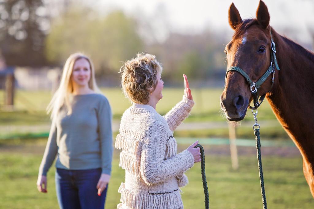 Paardencoaching voor mantelzorgers!