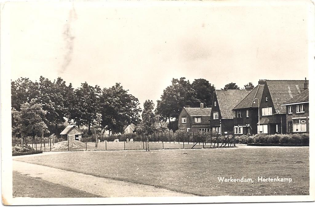 6 verschillende kaarten Werkendam dorp jaren 1950-1960, Verzenden, 1940 tot 1960, Gelopen, Noord-Brabant