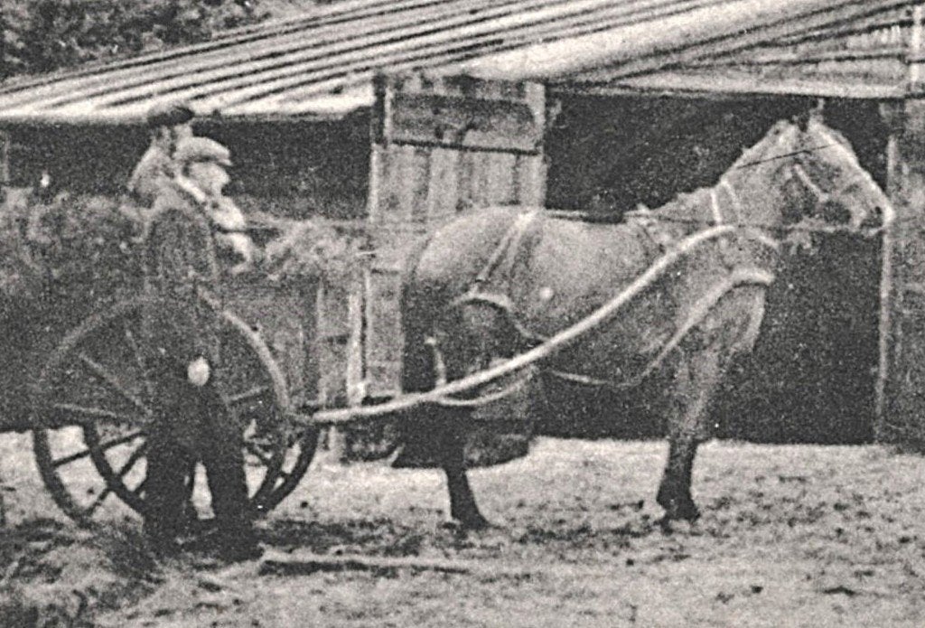 700286	Tussen Bergen en Schoorl	Klein Zwitserland	NH 1925, Ophalen of Verzenden, 1920 tot 1940, Gelopen, Noord-Holland