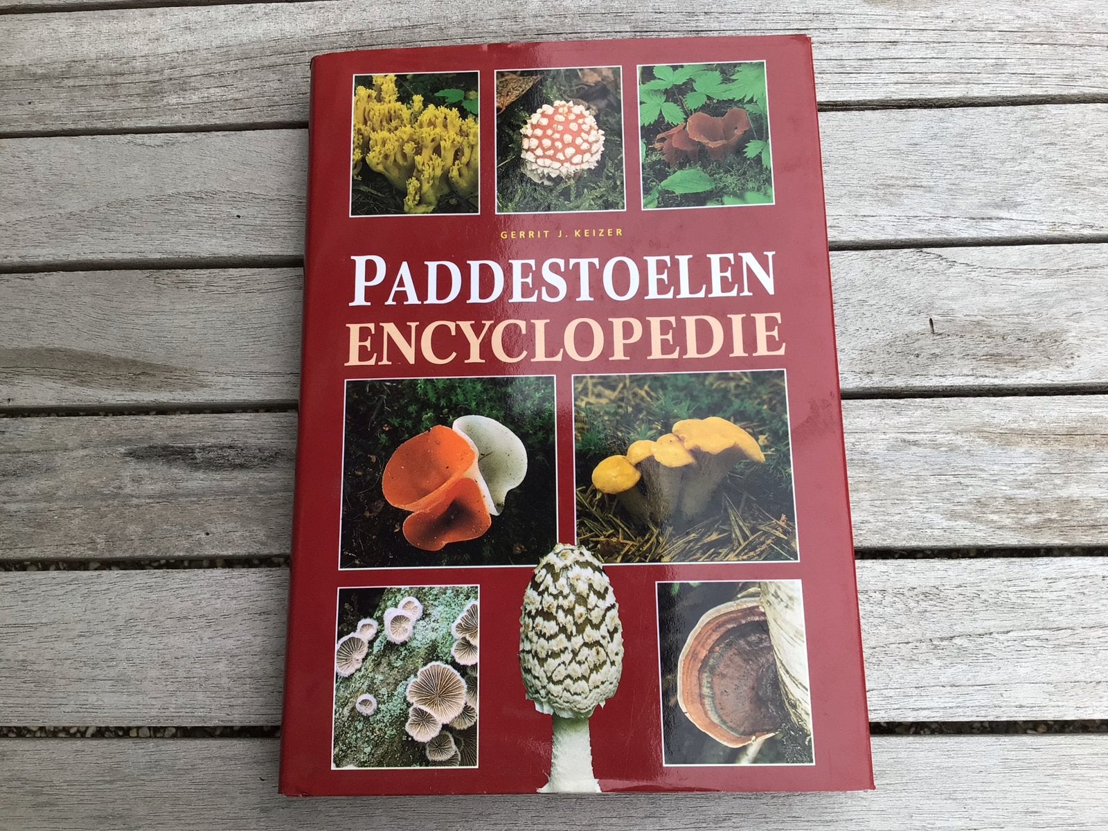 Paddenstoelen Encyclopedie - Gerrit J. Keizer, Boeken, Ophalen of Verzenden, Zo goed als nieuw, Overige onderwerpen, Los deel