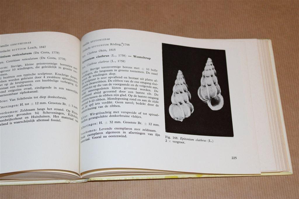 Schelpen Vinden & Herkennen — Dé Klassieke Gids [1965], Boeken, Natuur, Ophalen of Verzenden, Gelezen, Bloemen, Planten en Bomen