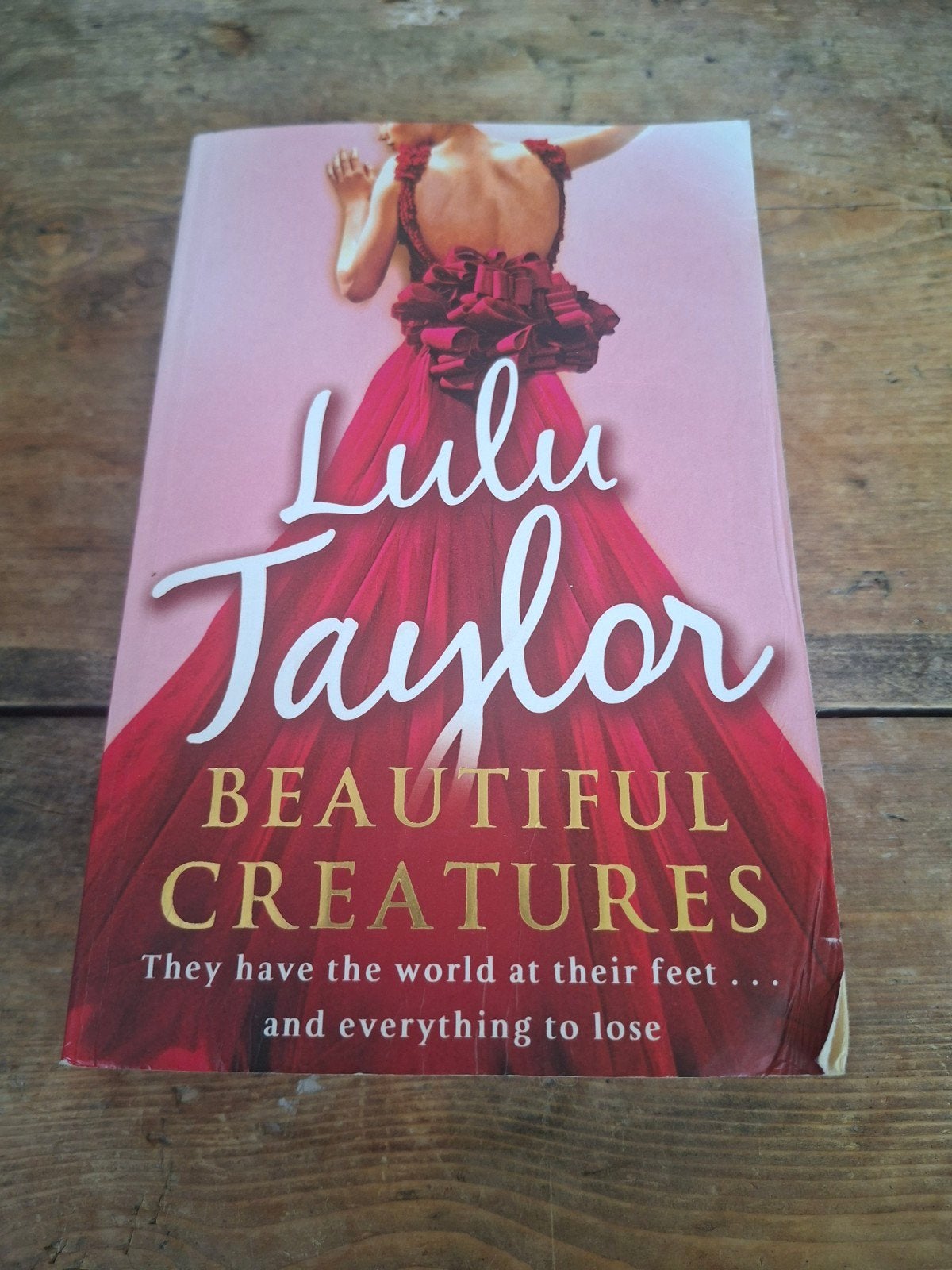 Beautiful Creatures - Lulu Taylor (Engels), Boeken, Ophalen of Verzenden, Gelezen, Lulu Taylor, Europa overig