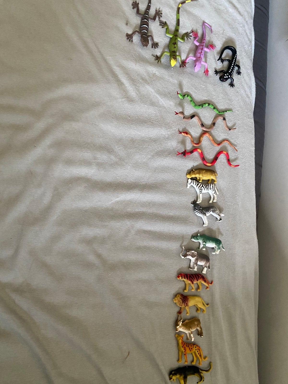 Glow in the dark dino’ s en wilde dieren poppertjes, Ophalen