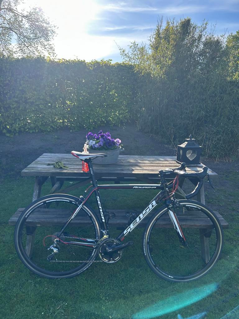 Sensa Romagna Racefiets - Maat 54, Fietsen en Brommers, Fietsen | Racefietsen, 28 inch, Gebruikt, Aluminium, 15 tot 20 versnellingen