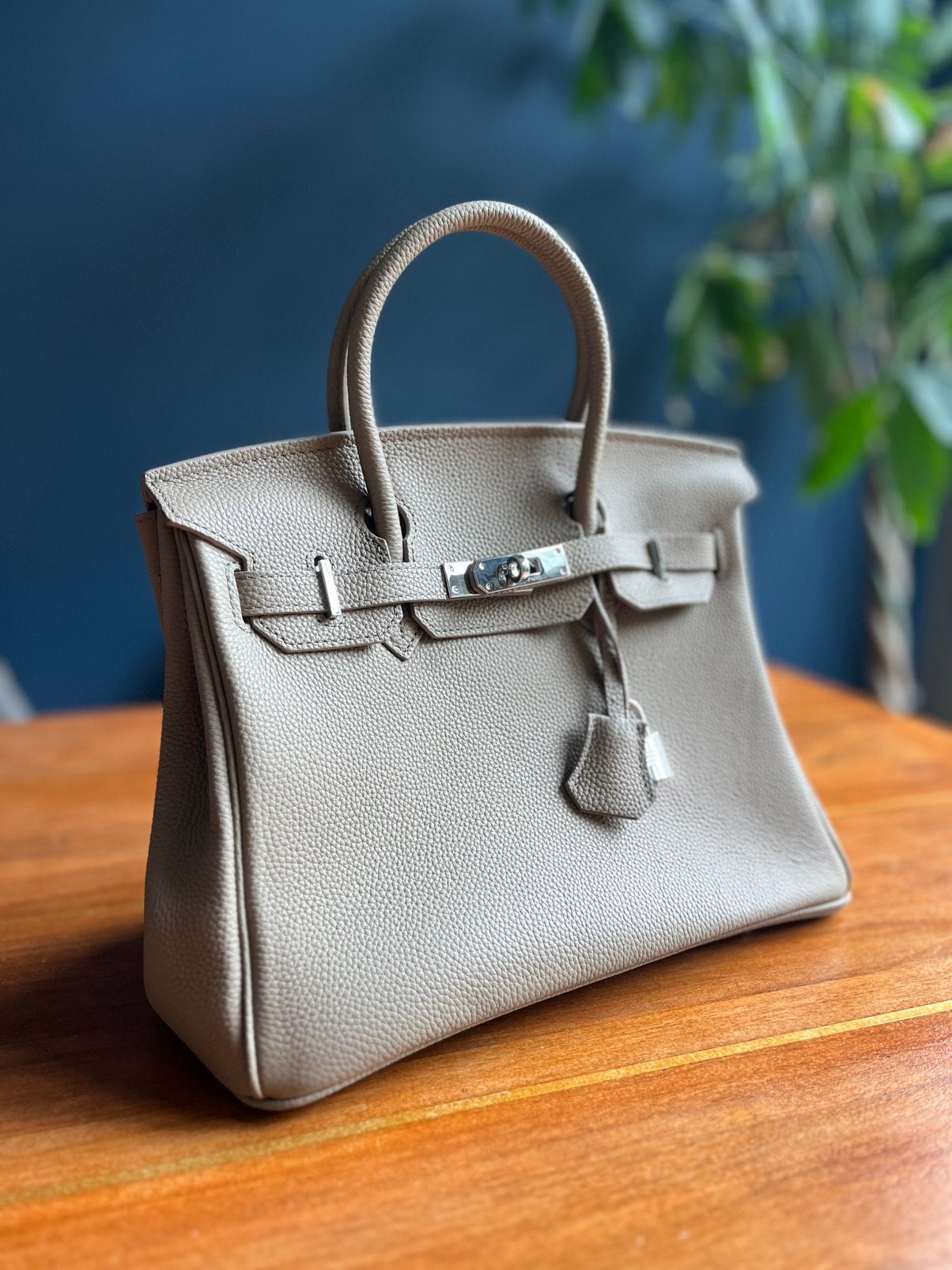 Luxe designer handtas, Sieraden, Tassen en Uiterlijk, Tassen | Damestassen, Ophalen of Verzenden, Nieuw, Bruin, Handtas