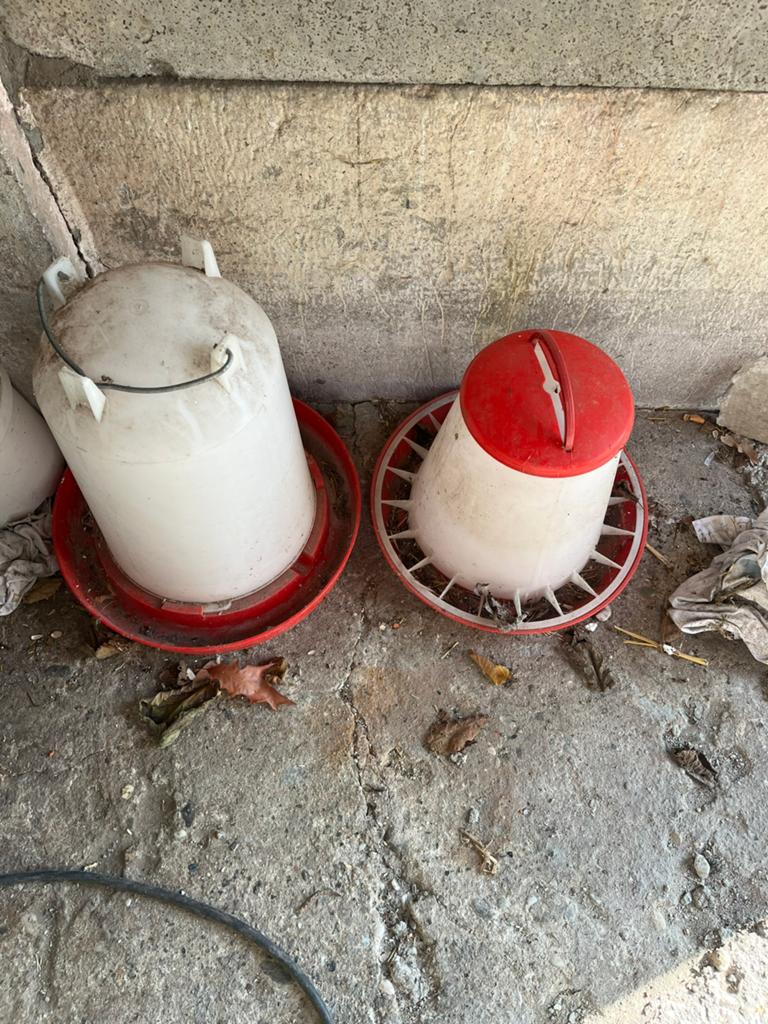 Kippen voer en water silo, Ophalen of Verzenden, Drinken en Voederen