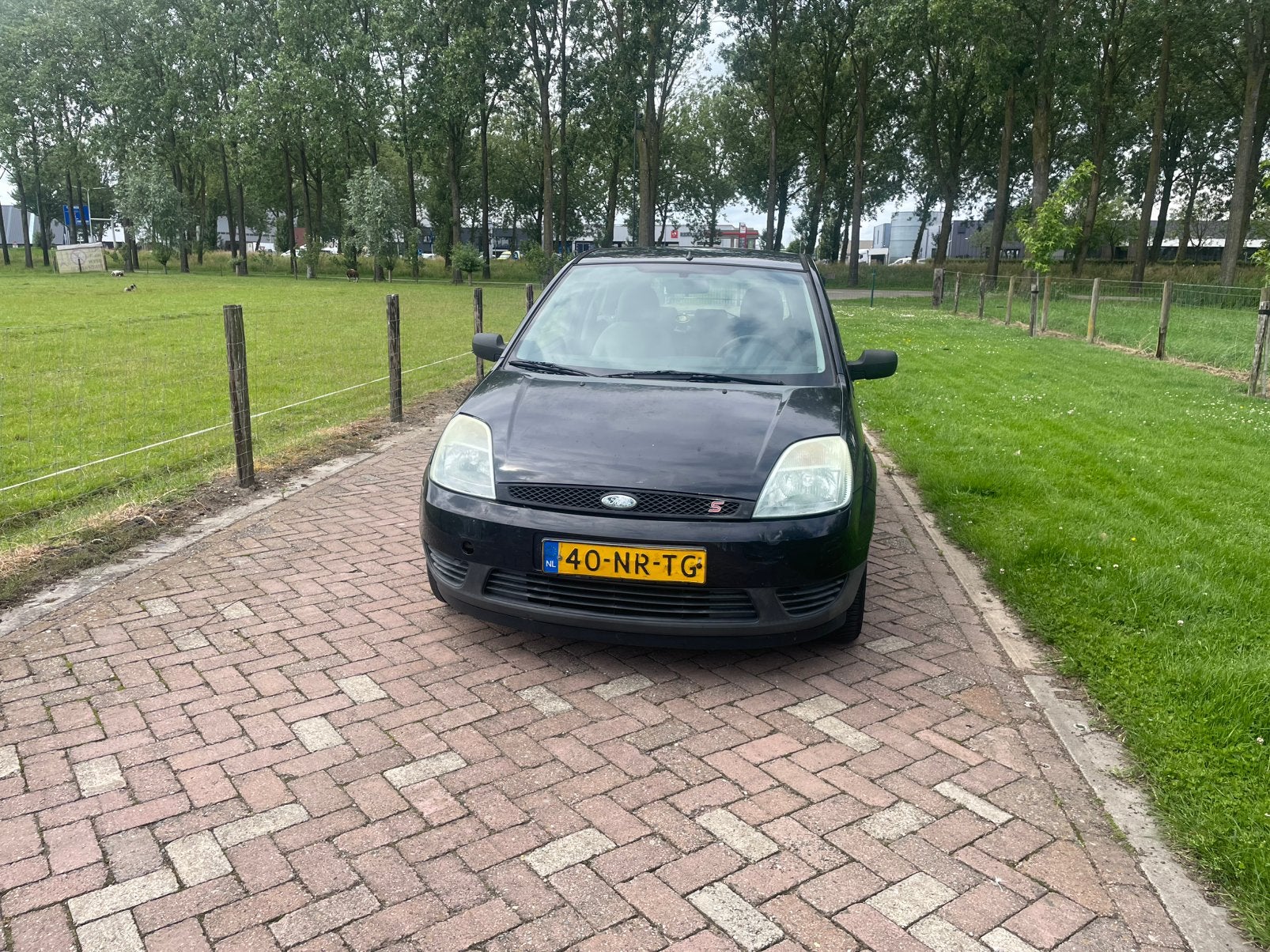 Ford Fiësta 1.25 16V 3DR 2004 Zwart, Auto's, Voorwielaandrijving, Stof, 4 cilinders, 995 kg