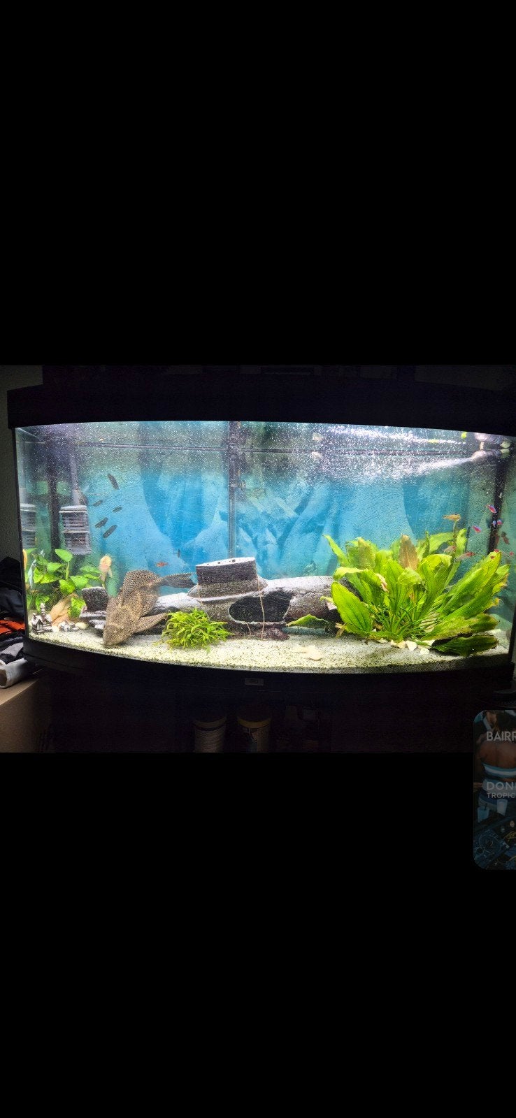 mooi Aqarium, Ophalen, Zo goed als nieuw, Pomp, Juwel
