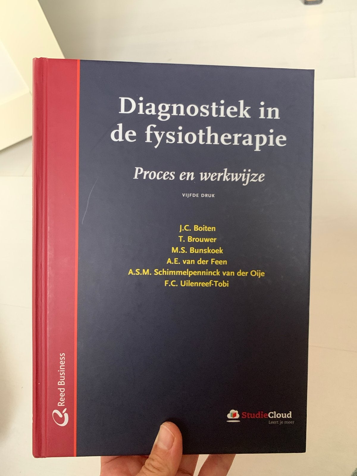 Diagnostiek in de fysiotherapie - Proces en werkwijze, Ophalen of Verzenden, Beta, Zo goed als nieuw, HBO