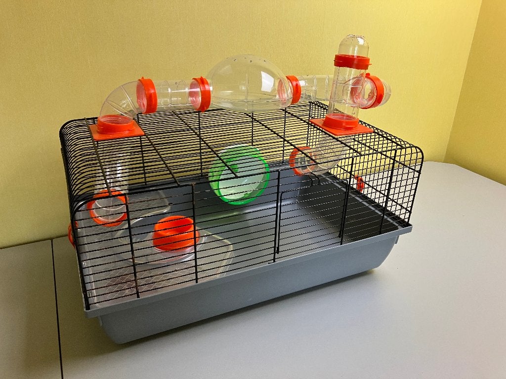 Fijne hamsterkooi dwerghamster kooi compleet met spullen, Minder dan 60 cm, Kooi, Minder dan 75 cm, Ophalen of Verzenden