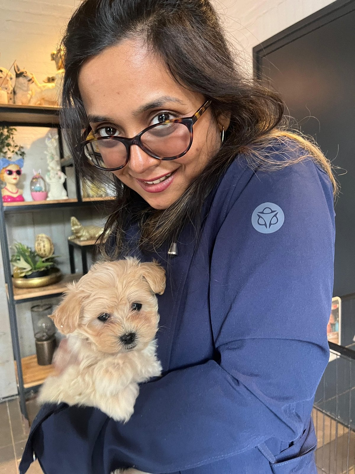 Maltipoo female, Overige rassen, 8 tot 15 weken, Teef, Parvo