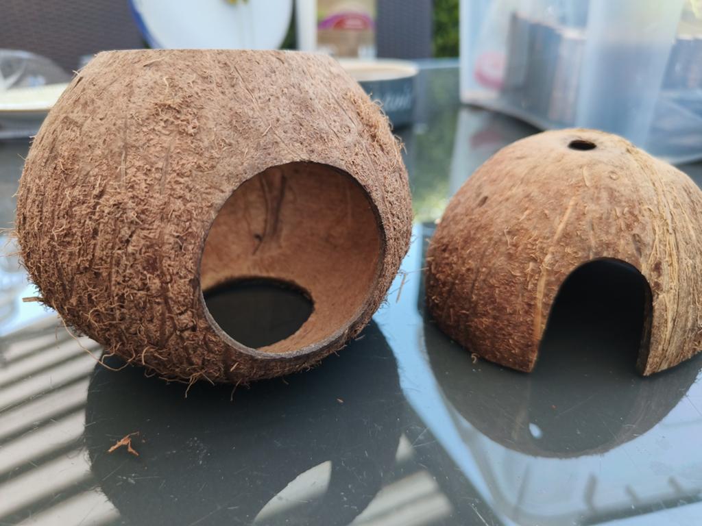 Kokosnoten voor knaagdieren kooi., Ophalen of Verzenden
