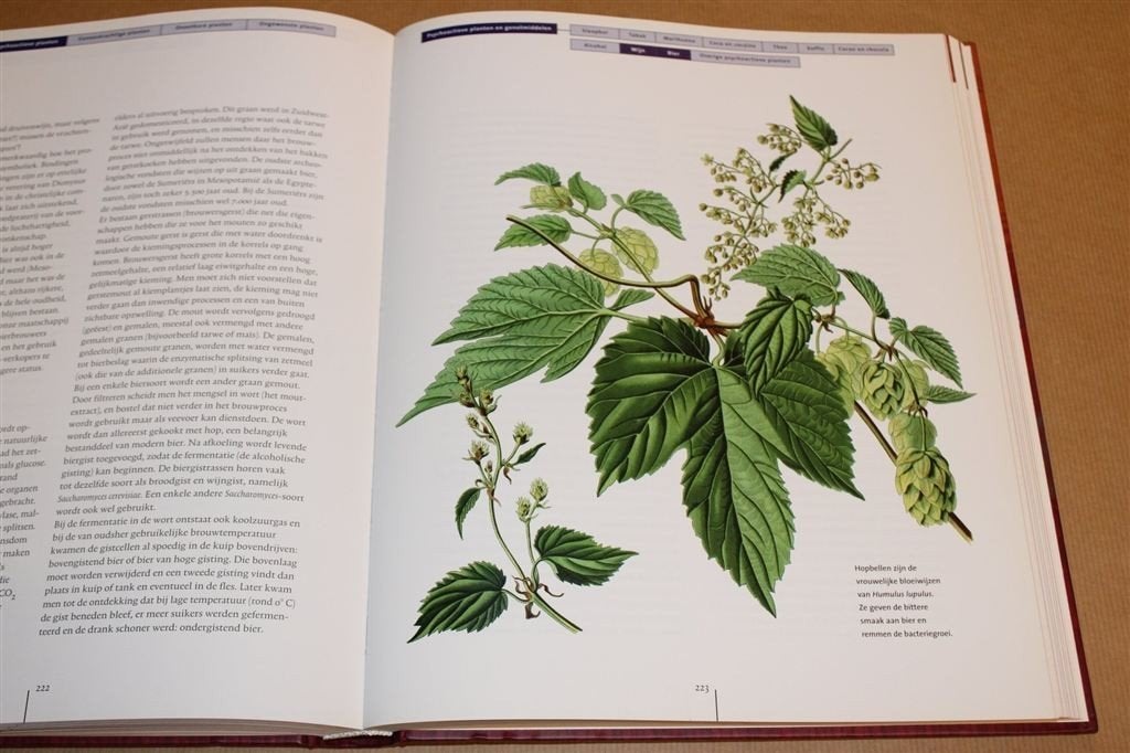 Planten voor Dagelijks Gebruik — Standaardwerk Toepassingen, Ophalen of Verzenden, Zo goed als nieuw, Tuinieren en Tuinplanten