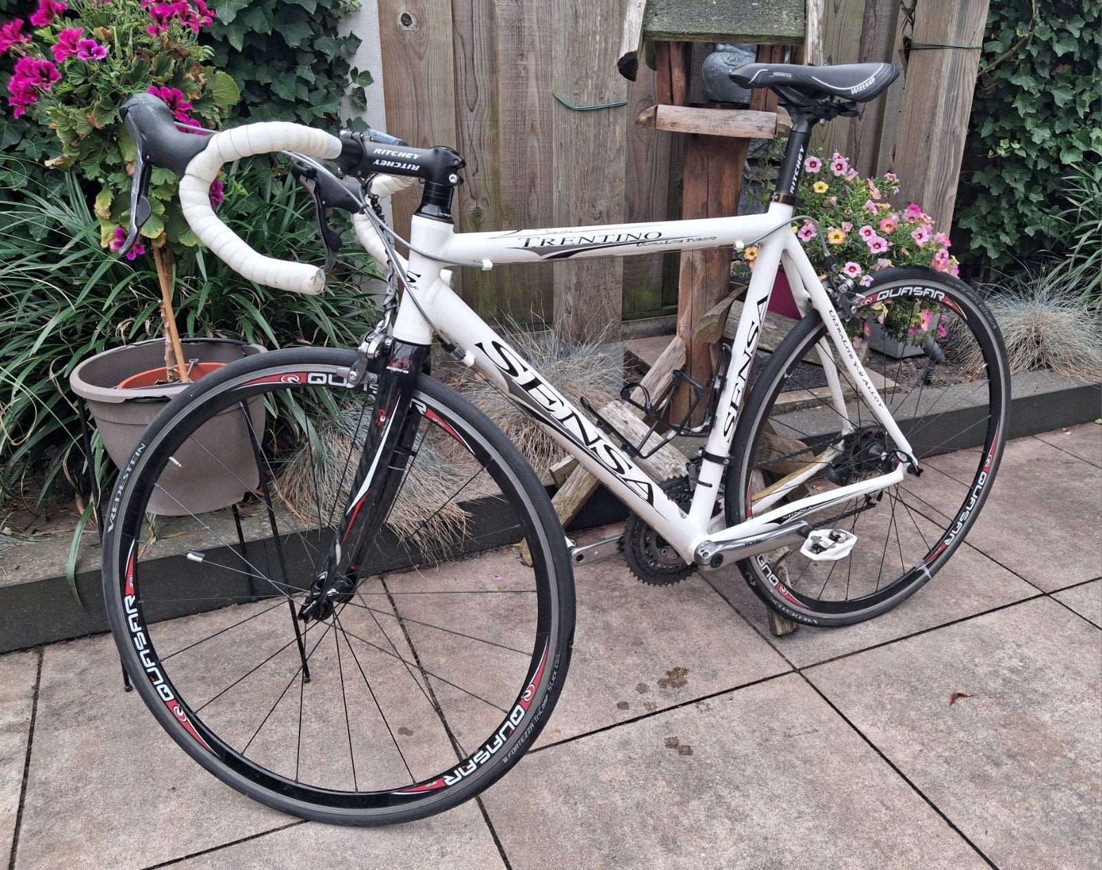 Sensa Trentino racefiets met carbon voorvork en nieuw zadel., 28 inch, Gebruikt, Carbon, Velgrem