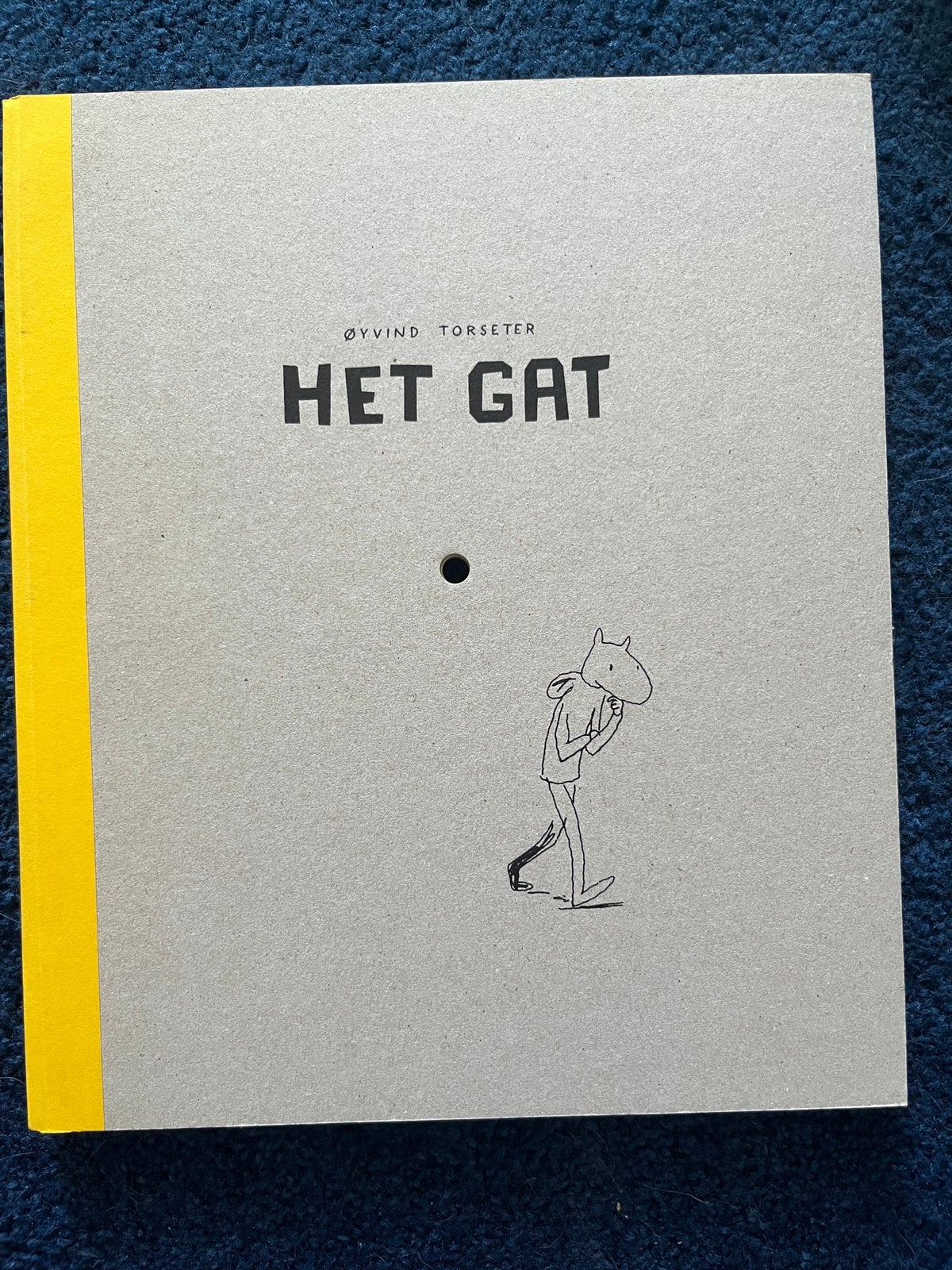 Oyvind Torseter - Het gat, Ophalen of Verzenden, Zo goed als nieuw, Oyvind Torseter
