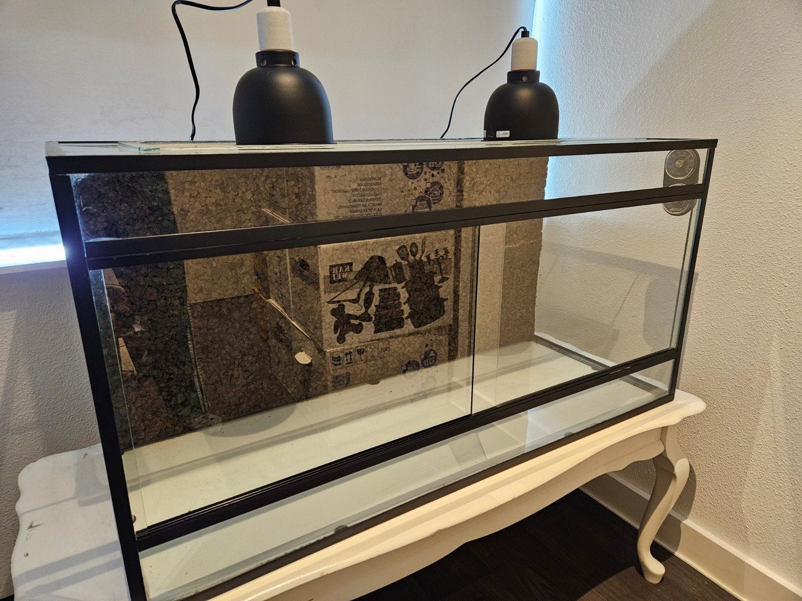 Prachtig Terrarium 100x40x50, Frogs/Kikkers incl Lampen, Ophalen, Zo goed als nieuw, Terrarium of Paludarium