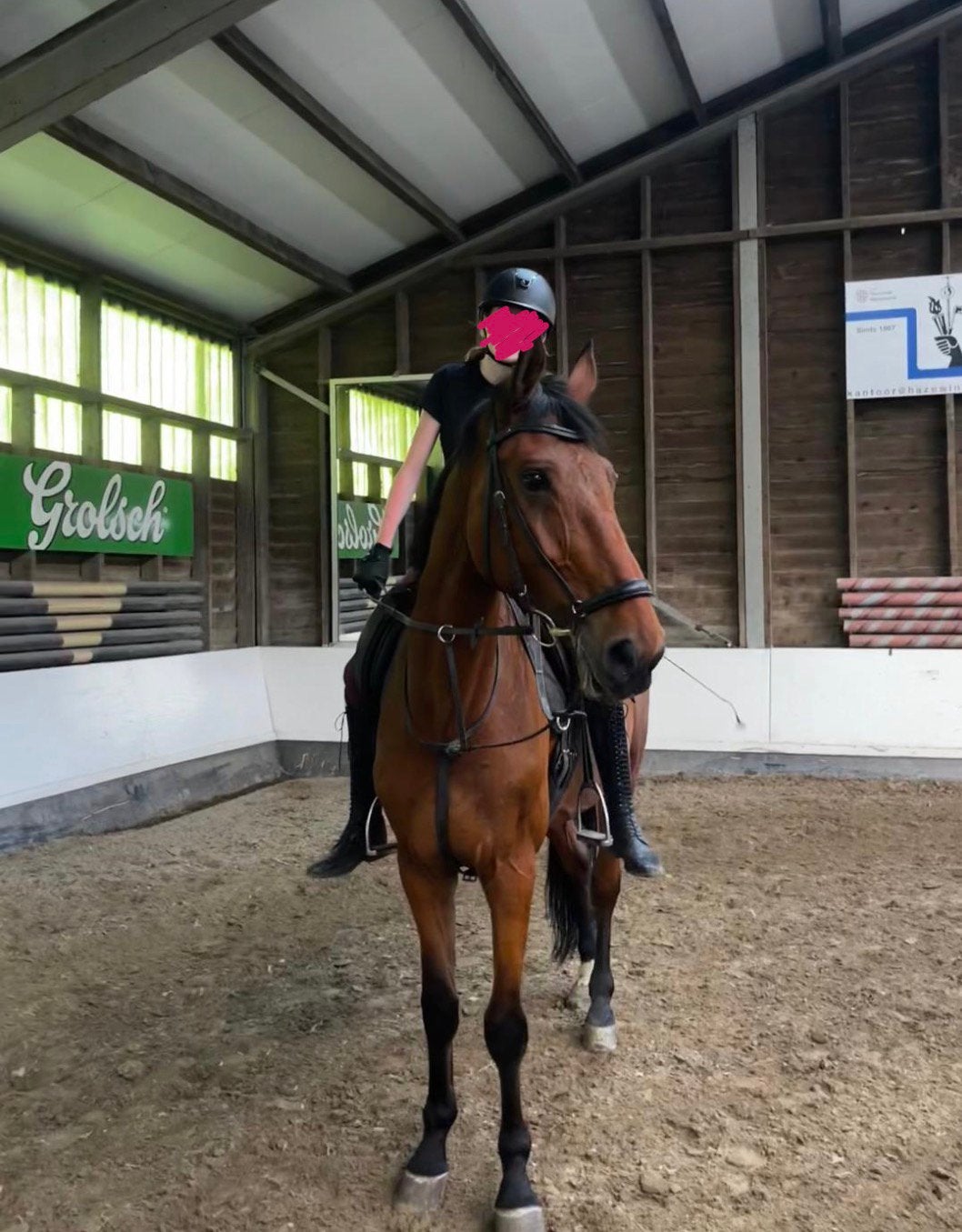 Bruikleen/lease op verplaatsing paard gezocht, Ophalen of Verzenden, Nieuw