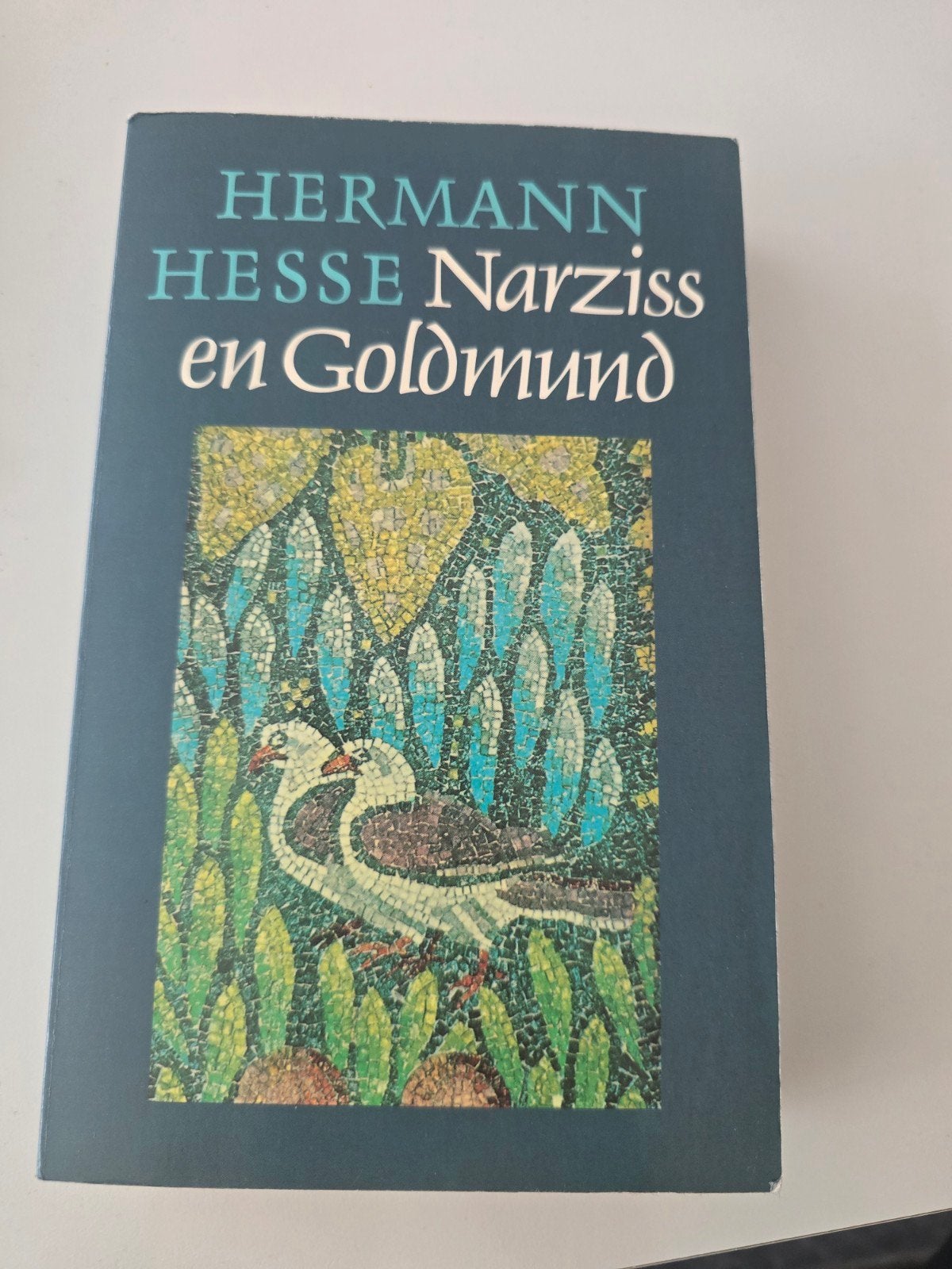 Hermann Hesse Boekend, Ophalen of Verzenden, Gelezen, Hermann Hesse, Europa overig
