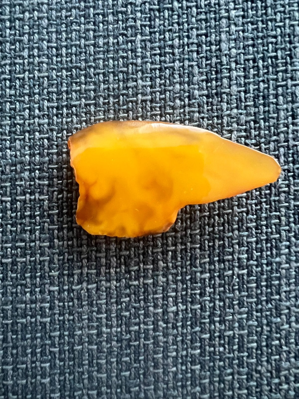 Amber broches, Ophalen of Verzenden, 4 tot 7 cm, Geel, Overige materialen