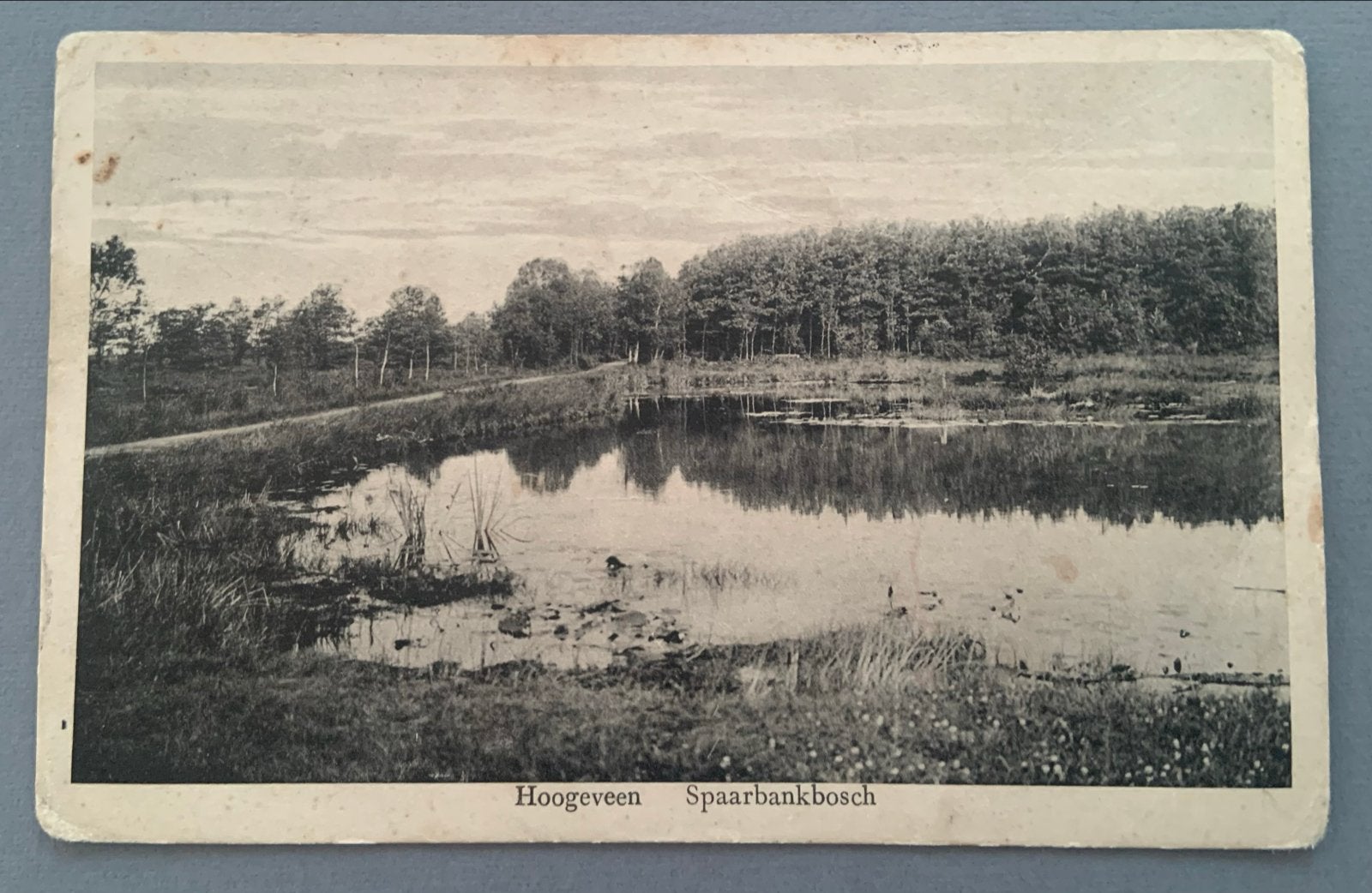Hoogeveen Spaarbankbosch, Verzamelen, Verzenden, Voor 1920, Gelopen, Drenthe
