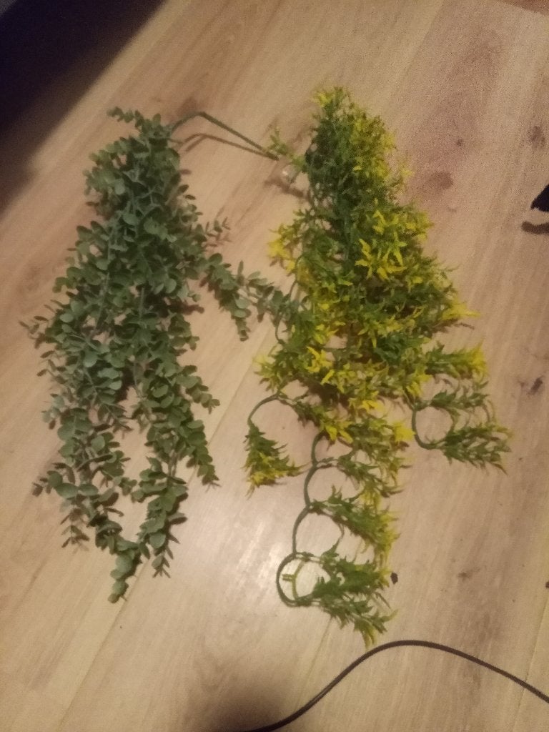 Nepplanten, Groen, 70 cm, Kunstplant, Ophalen of Verzenden