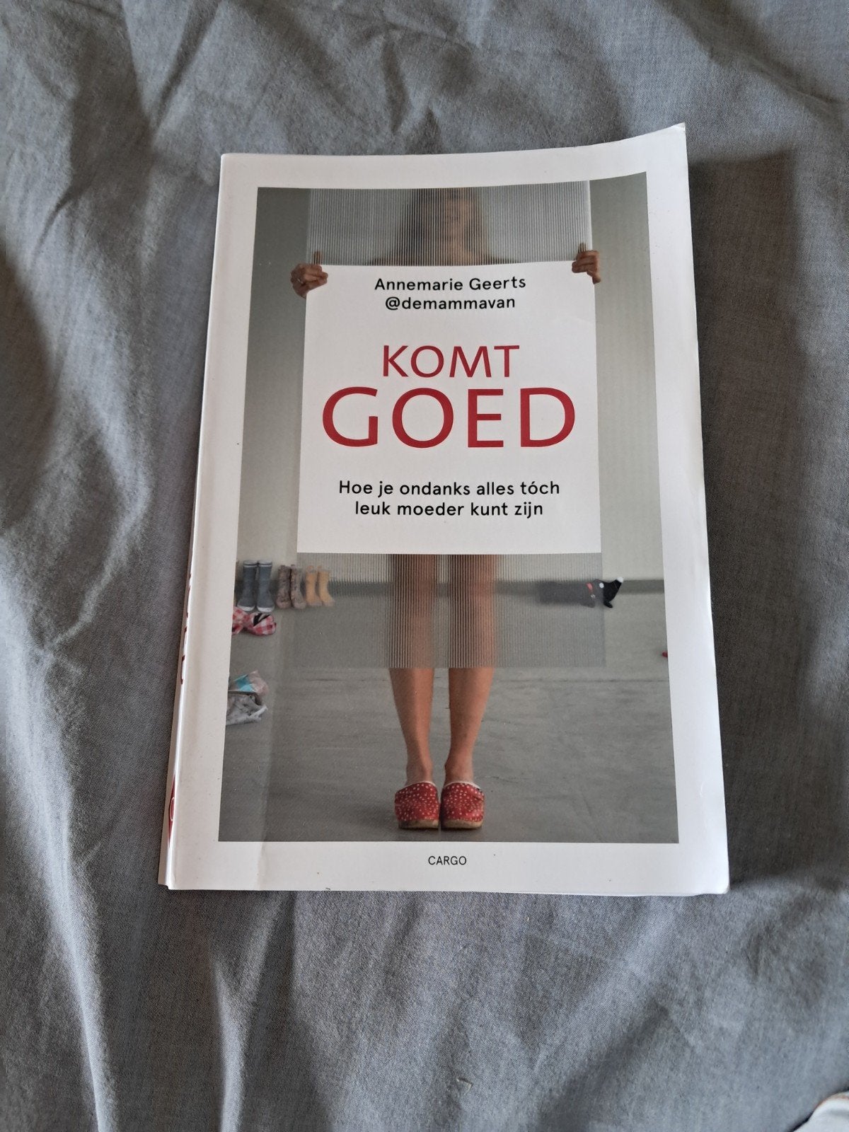 Komt goed Annemarie Geerts, Ophalen of Verzenden, Gelezen