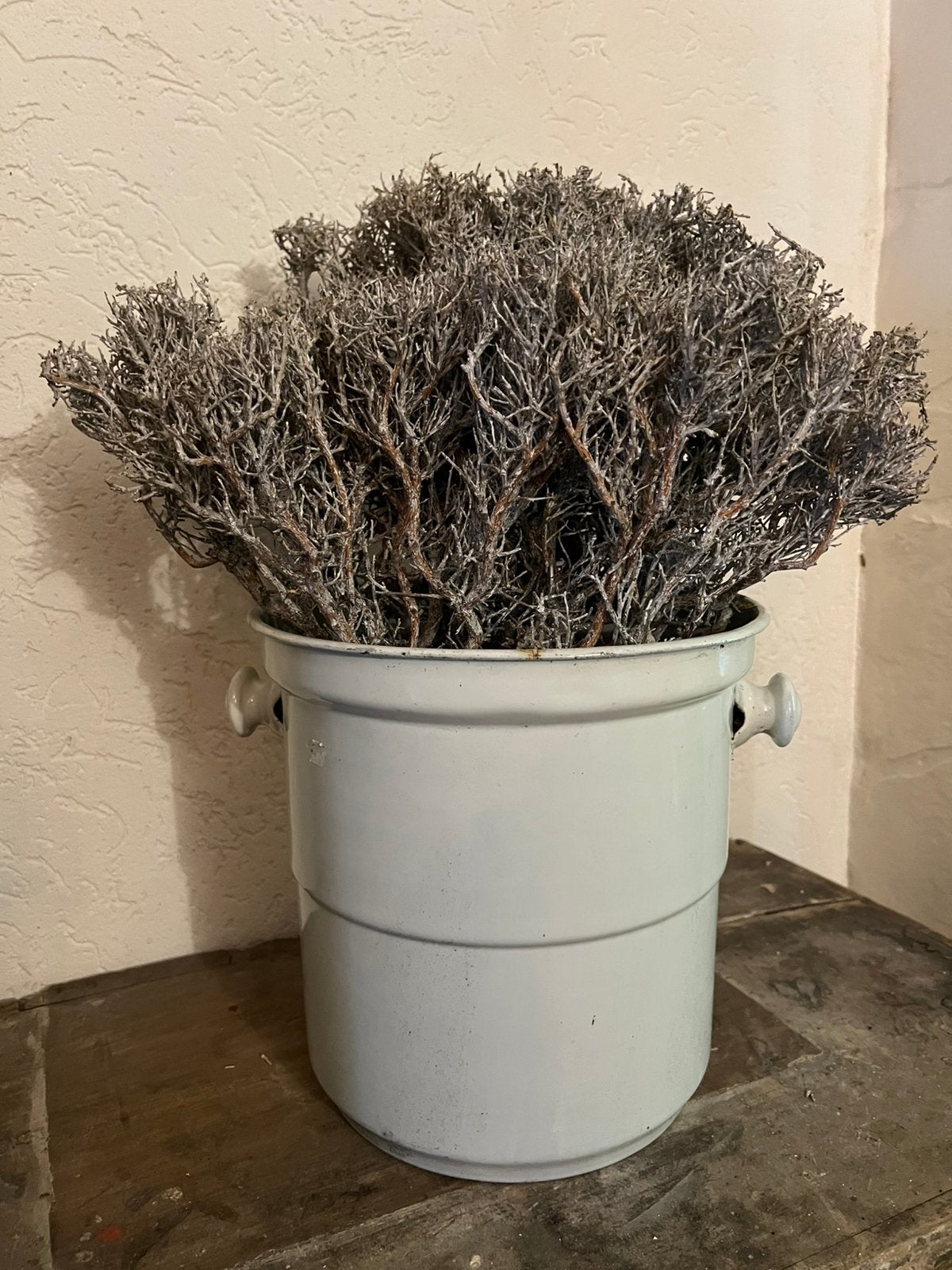 Oud emaille emmer bloempot brocante wit kerst kerstboom kl, Ophalen of Verzenden