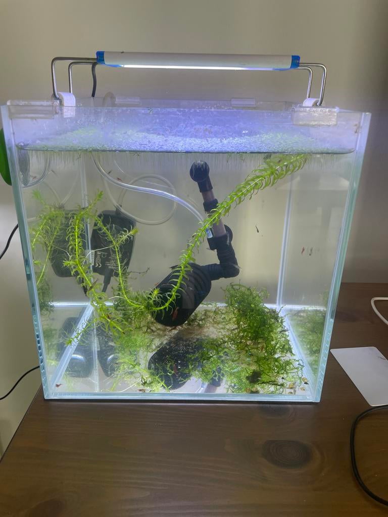 Klein aquarium compleet, Ophalen, Zo goed als nieuw, Gevuld zoetwateraquarium