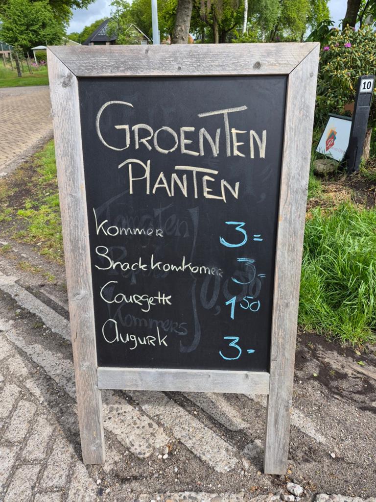 Diverse groenten planten, Tuin en Terras, Ophalen, Volle zon, Groenteplanten, Eenjarig