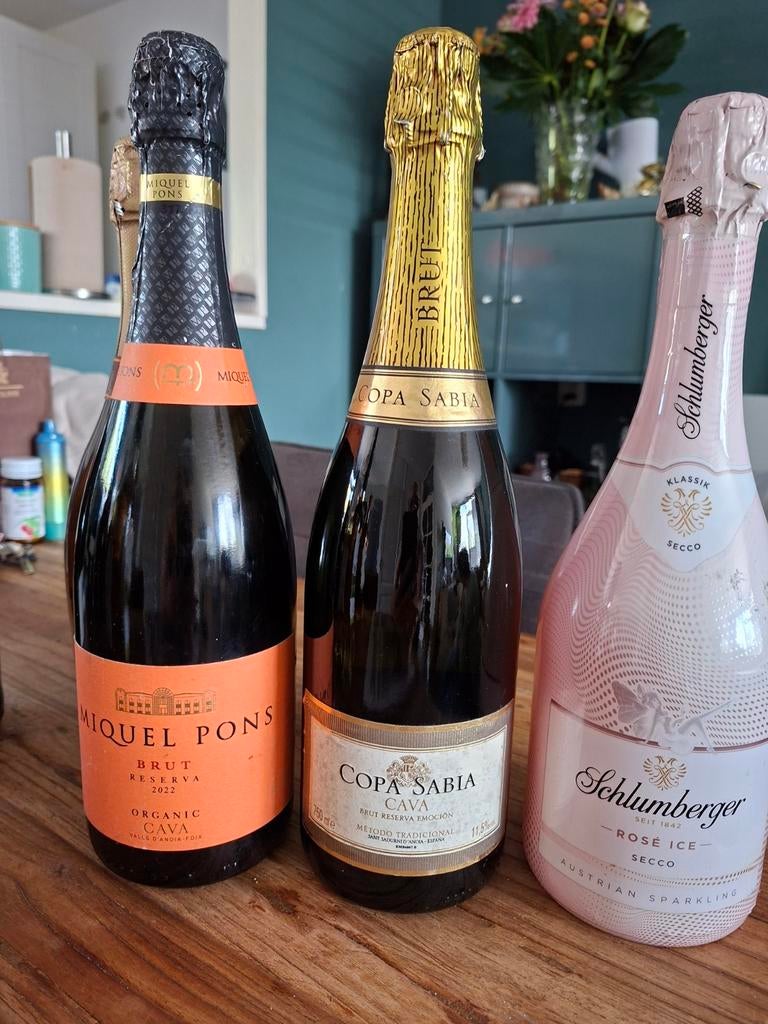 Pakket Diverse selectie van wijn en champagne, Ophalen of Verzenden, Nieuw, Frankrijk, Overige typen