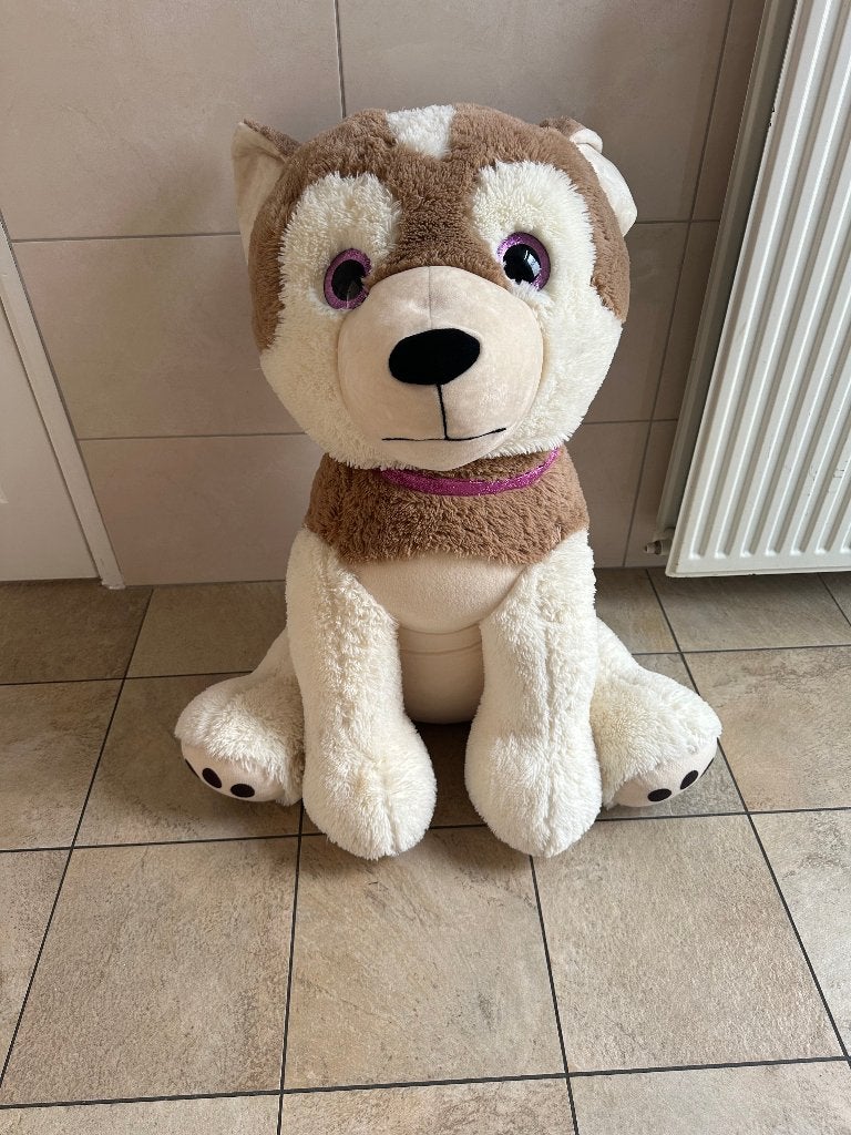 Grote knuffelhond, Ophalen, Gebruikt, Overige karakters, Hond